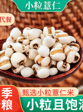 贵州小薏米仁薏仁米新货新米薏苡仁意米新鲜正宗意薏仁糯薏米杂粮