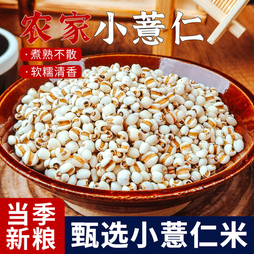 2025小薏仁米当季新粮薏米仁生苡仁意米粒五谷杂粮搭配赤小豆