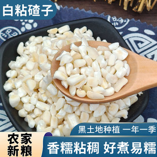东北白粘碴子25年农家新货黏糯碴子粥大粒玉米糁花芸豆五谷杂粮
