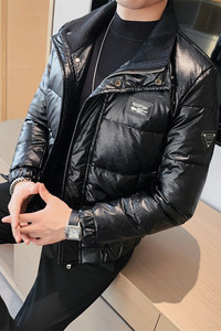 YR08-P315 羽绒服男士拉链款立领外套加厚  白鸭绒图片