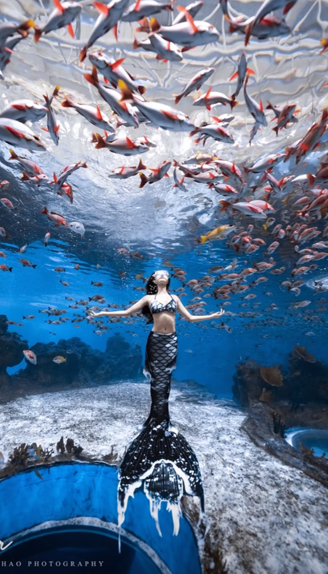 芸儿自由潜潜水海洋馆