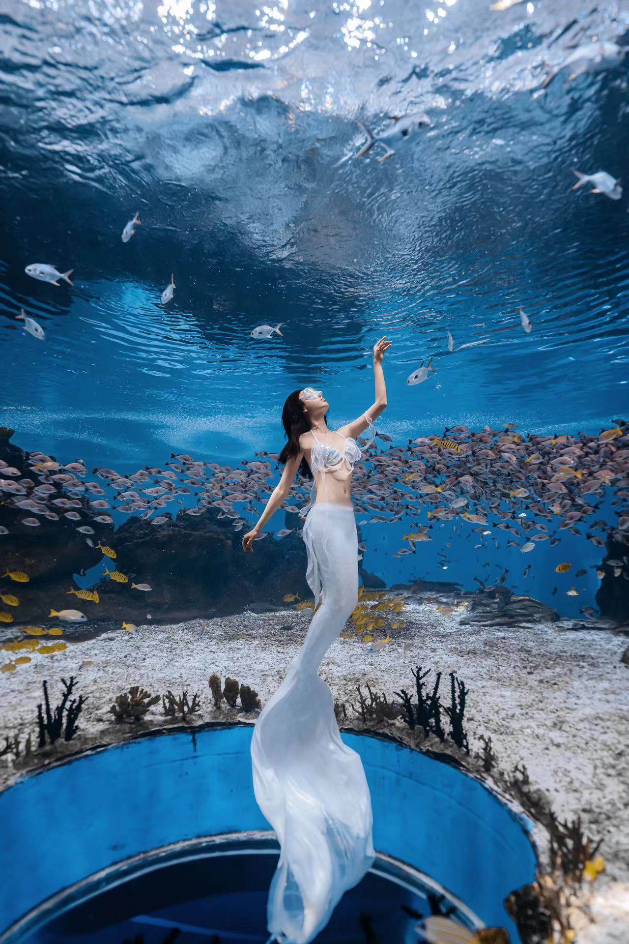 测试推荐美人鱼原创设计鱼鳞通用