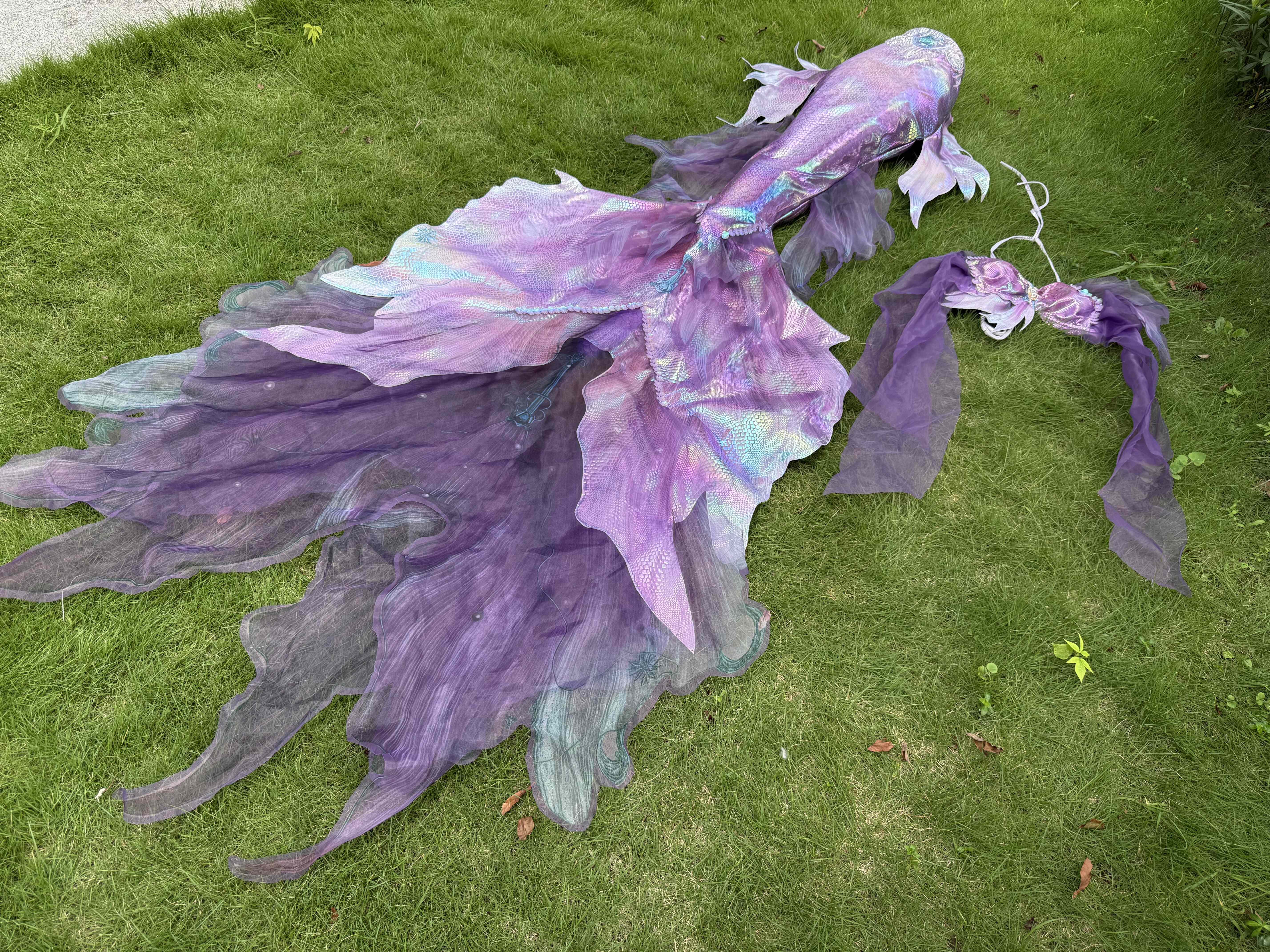 芸儿墨尔本樱花不规则美人鱼成人尾巴裙子海洋馆潜水泳衣游泳拍摄