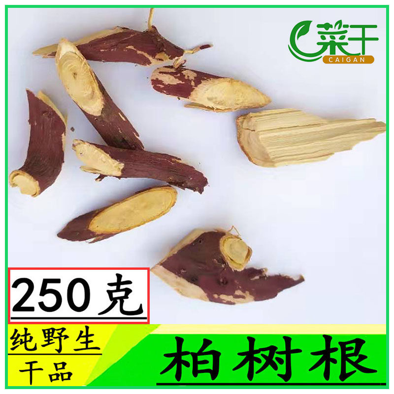 柏树根 中药材 侧柏树根干品