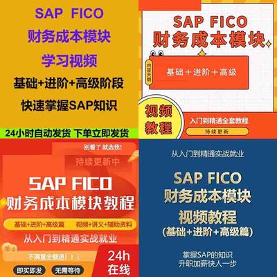 SAP FICO财务成本模块 实战技巧资料课 基础进阶高阶篇 视频教程