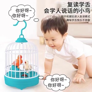 会学人说话的小鸟玩具儿童仿真鹦鹉鸟笼复读引导宝宝学益智男女孩