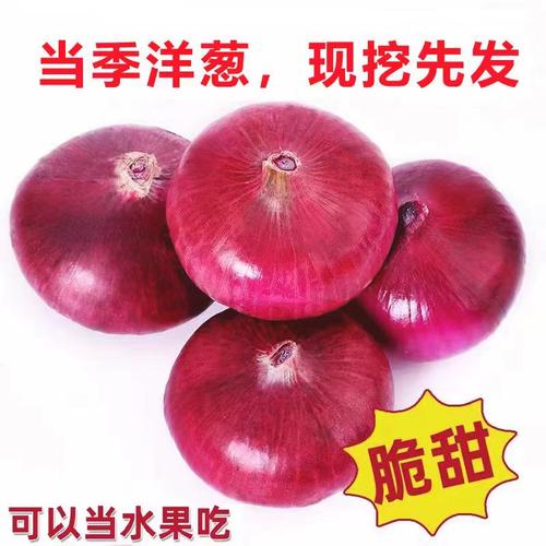 【坏果包赔】河南新鲜洋葱扁平洋葱可以生吃水果洋葱脆甜微辣
