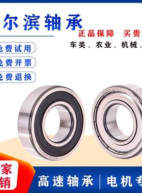 哈尔滨正品轴承6226 6228 6230 6232 6234 6236ZZ 2RS大轴承 重型