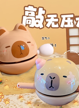 解压卡皮巴拉 木鱼 磁吸 钢珠画板 小马宝莉 豚儿童玩具求签乌龟