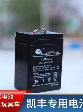 凯丰电子秤电池6V4AH台称专用蓄电瓶4V4AH工业秤儿童玩具童车电瓶