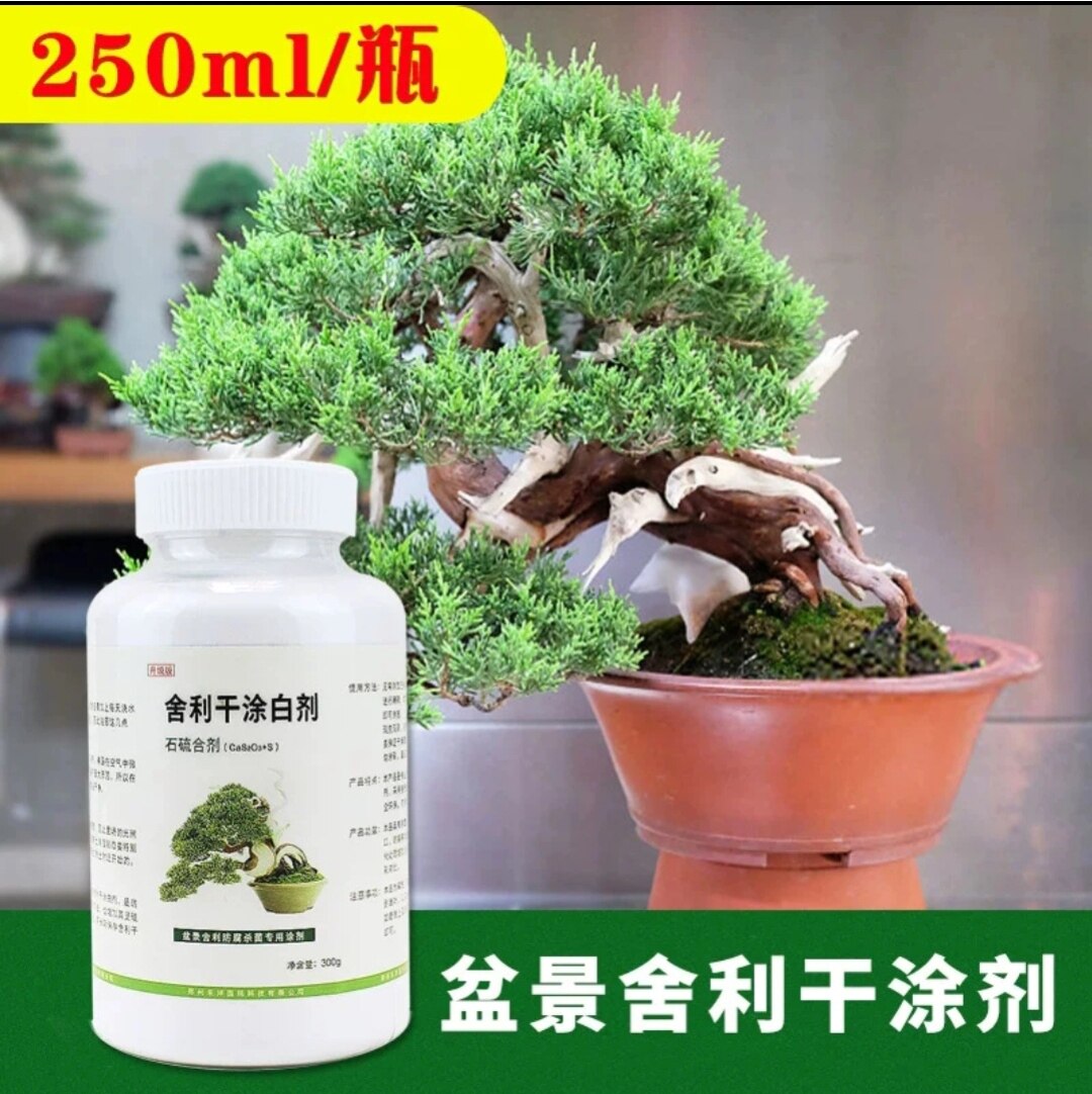 盆景舍利干涂白剂 石硫合剂 舍园艺用品套装