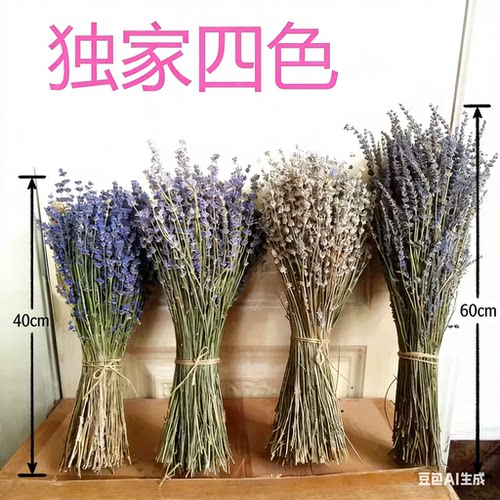 新薰衣草干花束礼物新疆伊犁舒缓