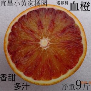【血红色果肉】正宗塔罗科血橙 山顶橘园香甜多汁 净重9斤 包邮