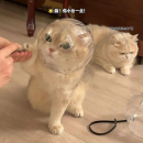 猫头套防咬猫咪太空头罩洗澡剪指甲打架防抓舔宠物器伊丽莎白圈