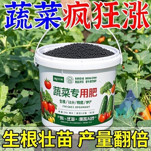 蔬菜专用肥有机肥瓜果绿植黄瓜西红柿辣椒颗粒复合肥蔬菜农用种菜