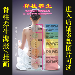 中医养生馆图片挂画美容院海报宣传画人体穴位图经略艾灸脊柱662