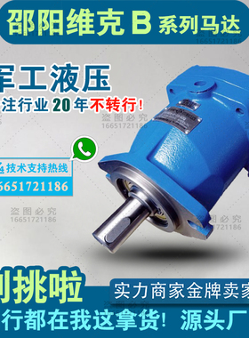 邵阳维克液压马达MFB20-U-10-PRC,MFB20-U-10-HZQ,随车吊用柱塞泵