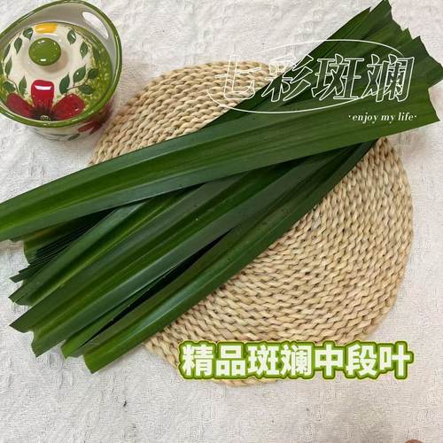 【48小时内发货】新鲜海南特产（精品去头去尾斑斓叶）