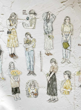 ChickTracks&台湾Pion She雾面PET手帐胶带 品质台产女孩整卷分装