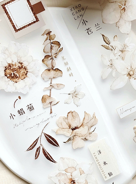 ChickTracks&素白茶棕 雀斑茶原创手帐胶带 和纸/pet 分装