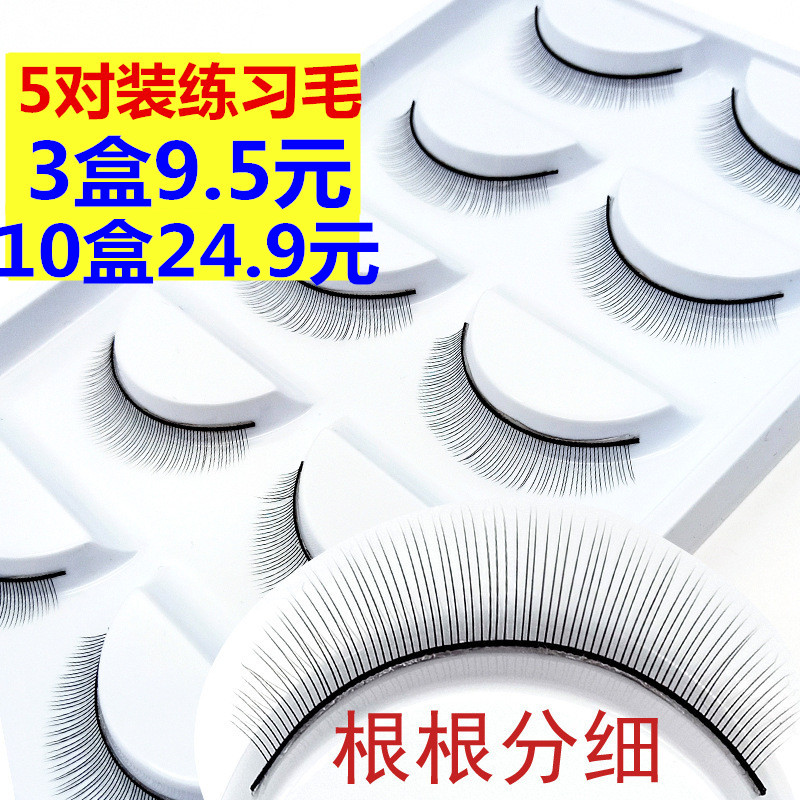 培训专用假睫毛新手学员仿真人