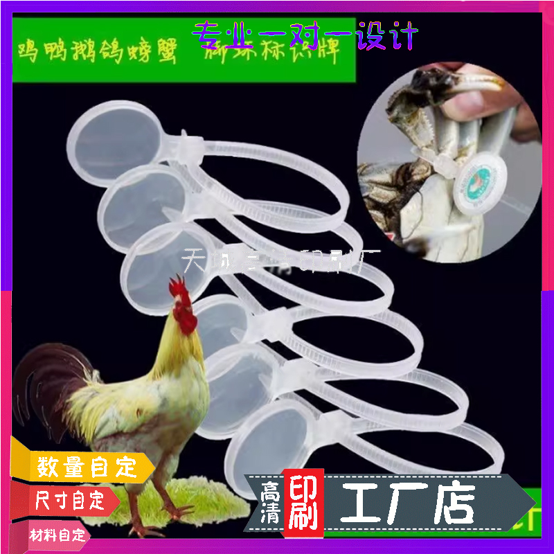 鸡脚环二维码塑料卡扣标签定制螃蟹养殖铜版纸卡纸脚环戒指扣印刷
