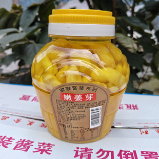 新鲜生姜泡仔姜 桐乡特产猕猴牌嫩姜芽1.45千克瓶装 拍2件起 包邮