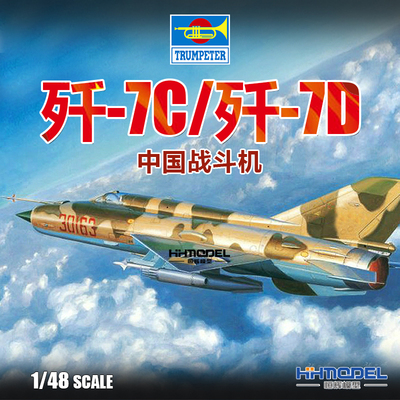 恒辉模型小号手战斗机