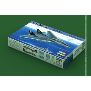 14B雄猫战斗机 恒辉模型 80367 美国F HOBBYBOSS