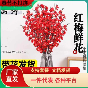 带花水培红梅花桃花树干枝珍珠李鲜花室内花卉雪柳盆栽切