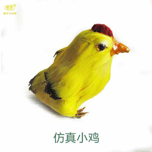 羽毛类动物仿真鸡威源