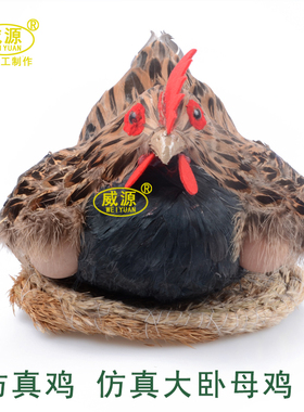威源工艺品道具摄影仿真家居装饰