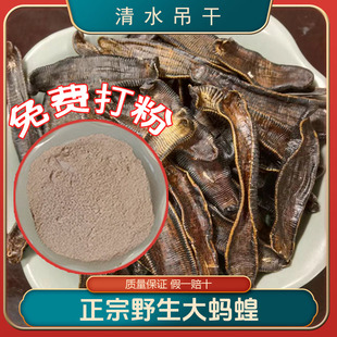 水蛭中药材野生水蛭粉水蛭干宽体蚂蟥干蚂蟥粉中药大蚂蝗干正品