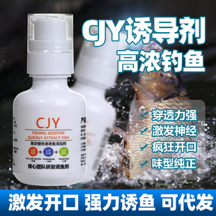 钓鱼小药黑坑鲤鱼专用钓鱼诱食剂鲫鱼鲤鱼饵料大全滑口回锅专攻