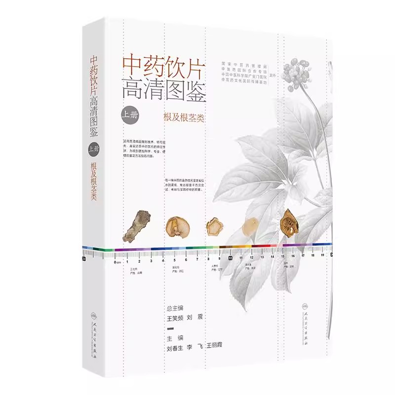 中药饮片高清图鉴上册 根及根茎类 刘春生 李飞 王丽霞 中药饮片采收加工炮制方法功能主治用法用量 人民卫生出版社9787117353052