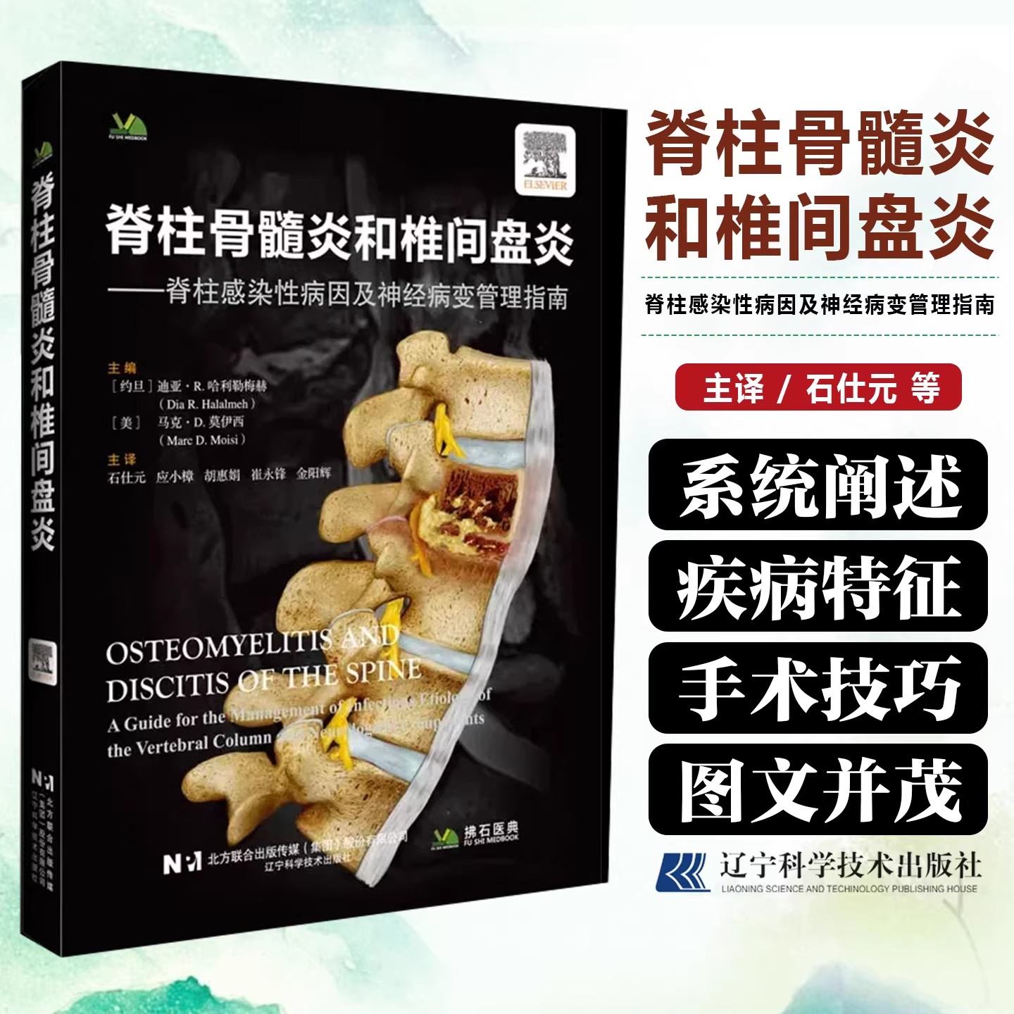 脊柱骨髓炎和椎间盘炎 脊柱感染性病因及神经病变管理指南 石仕元 主译 骨科神经外科感染科9787559145666 辽宁科学技术出版社