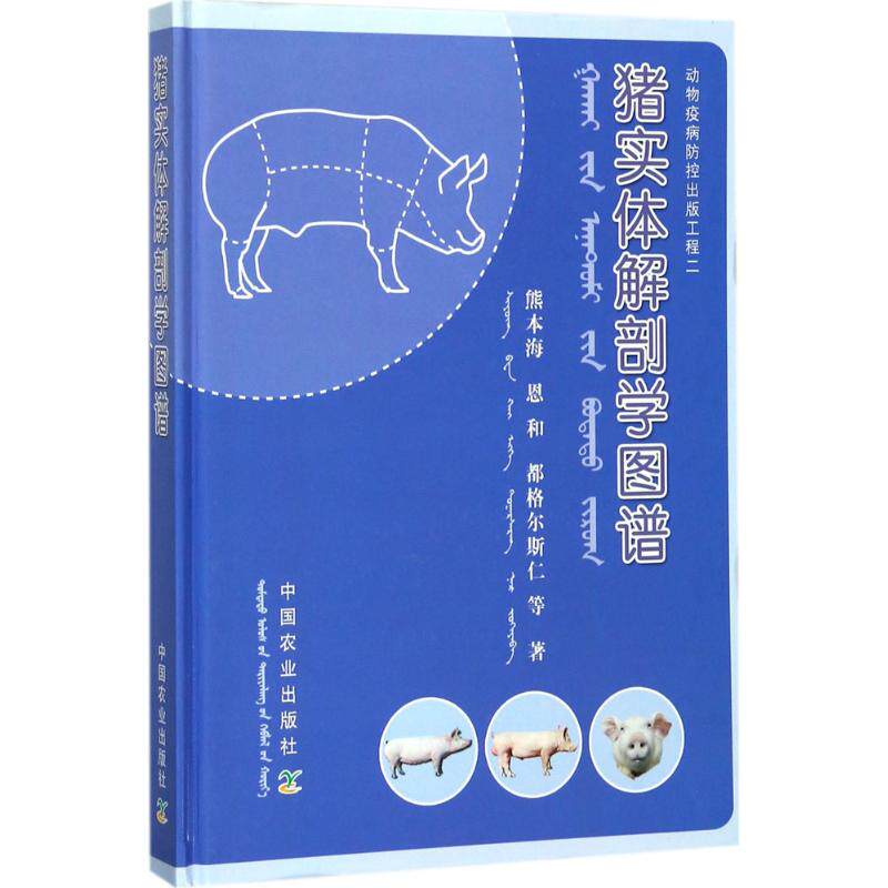 猪实体解剖学图谱 猪躯体部位被皮系统消化系统呼吸系统心血管系统泌尿系统神经系统母禽公禽生殖系统内分泌系统解剖书籍医学书籍