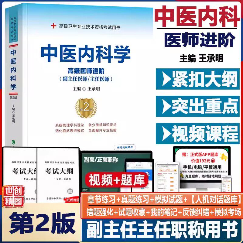 中医内科副高考试用书