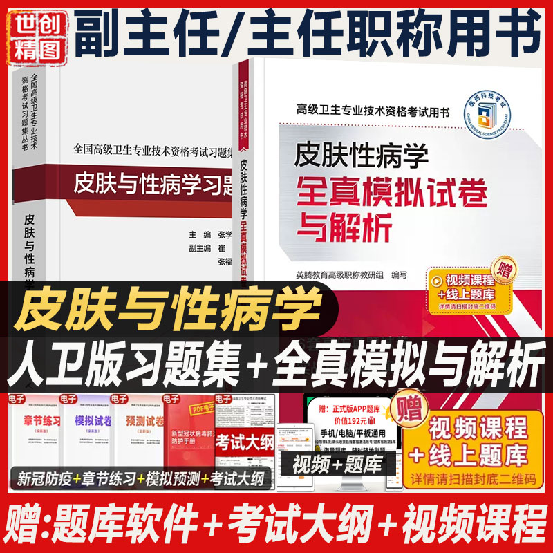 皮肤与性病学副主任皮肤科正高