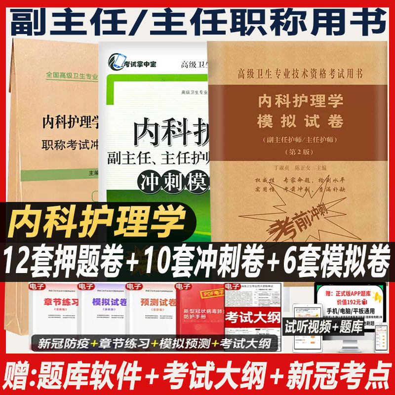 内科护理学副主任护师职称