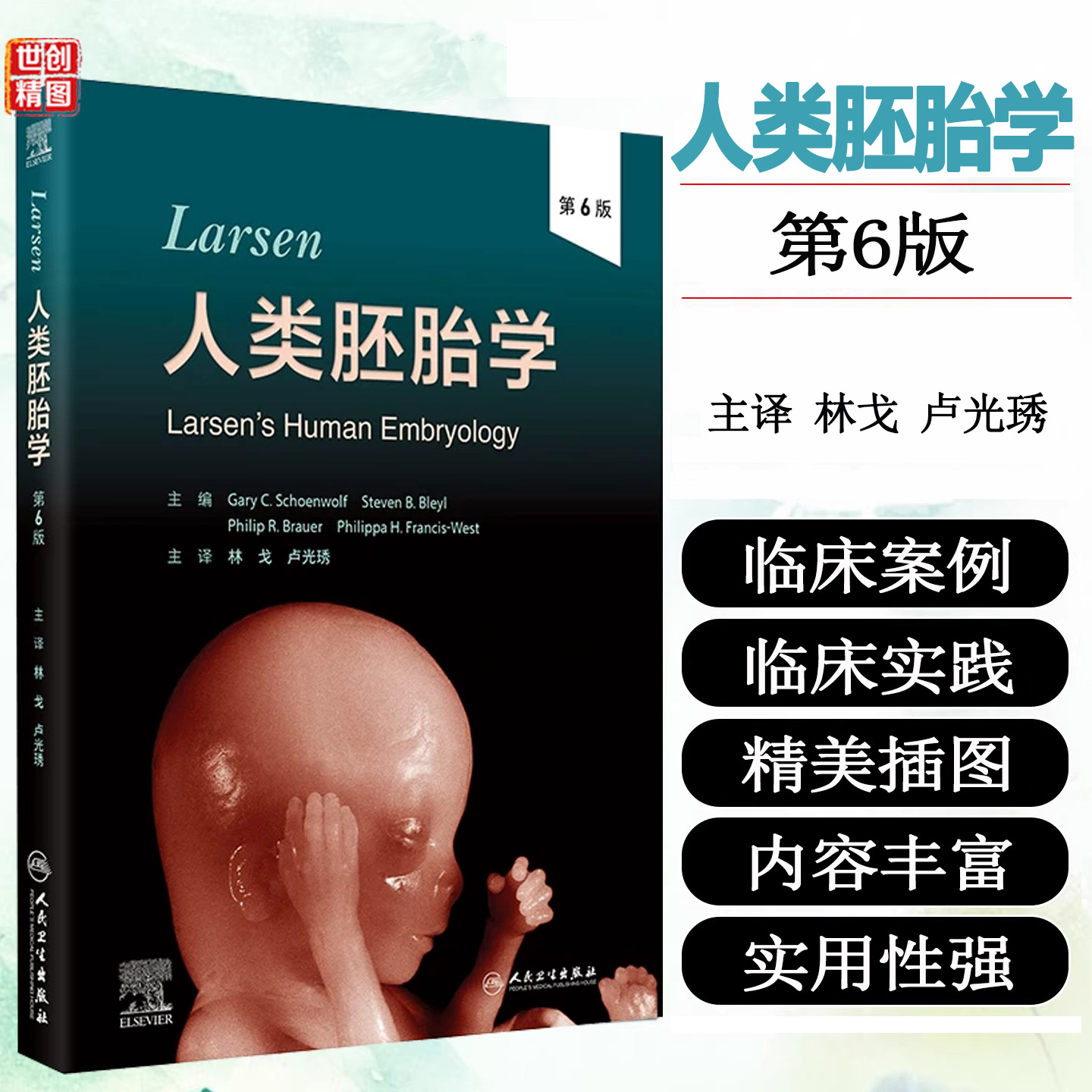 Larsen人类胚胎学第6版林戈卢光琇临床解剖学组织学发育机制生殖医学遗传干细胞经典教材先天畸形学人民卫生出版社基础医学专著