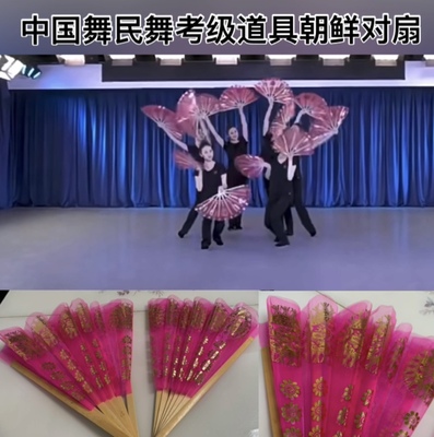 朝鲜舞扇彩绘原版图案左右手一对透明纱民舞考级演出师资培训专用