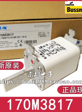 BUSSMANN熔断器 170M3816 170M3817 170M3818 315A-690V DIN 1*