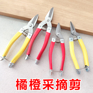 正品平口罗定果剪脐橙砂糖橘耙耙柑沃柑采摘剪刀柑橘蜜桔修枝小剪