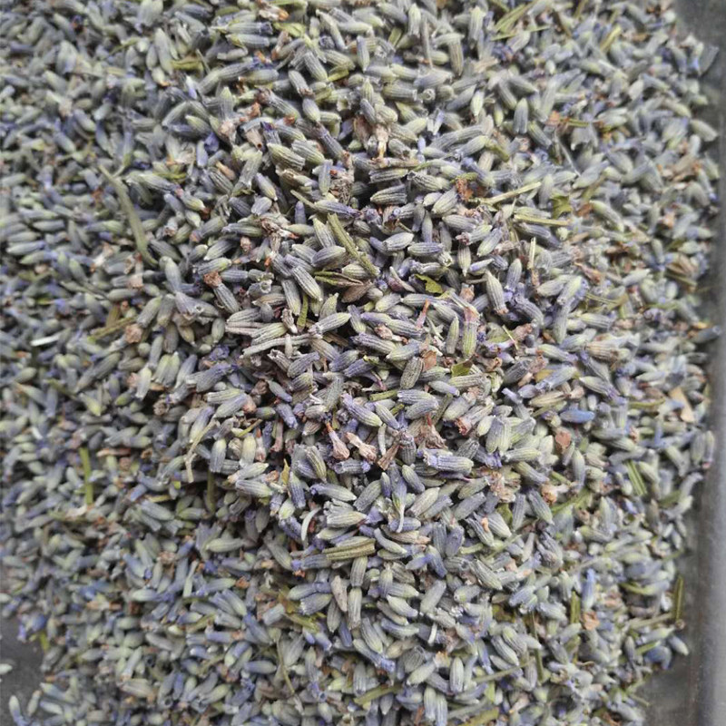 新疆天然薰衣草干花粒填充英国蓝精油原料助眠新花散装一斤包邮