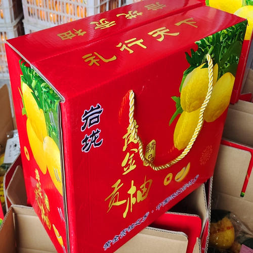 湘枝黄金贡柚怀化水果新年礼盒