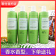 香水型歌仕芦荟洗发水滋润柔顺清爽控油蓬松去屑修护香味持久留香