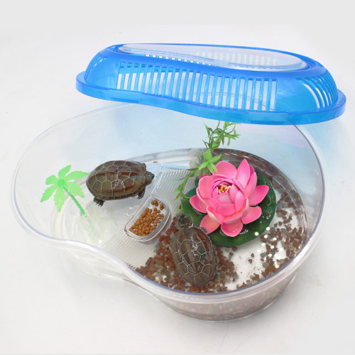 诺麦乌龟缸带盖带盖椰树