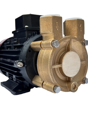 WD-07S-200单相220V高温导热油泵模温机热水循环泵电动锅炉补水泵