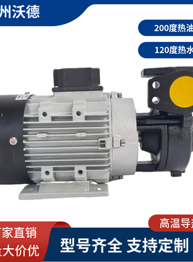 YUANSHIN高温热油泵YS-15C模温机热水循环泵 1.5KW铸铁导热油泵